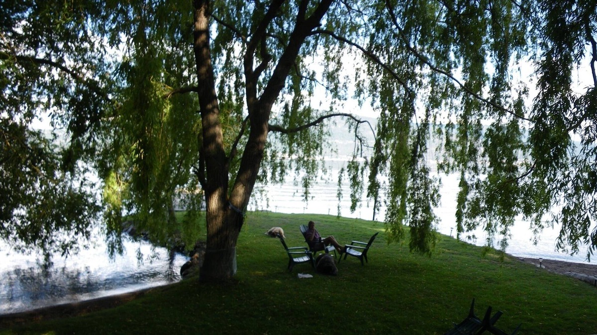 Central Okanagan House | Waterfront - Private Beach / Dock / Anchorage - Fire-Pit - B.B.Q.