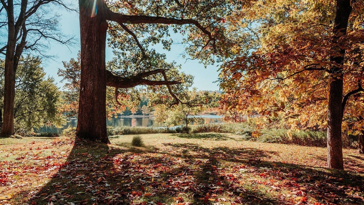 Matamoras House | Waterfront Ranch on The Delaware River