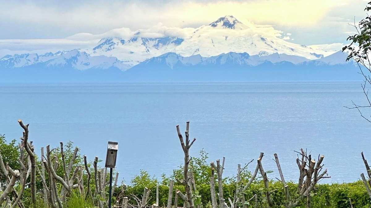 Happy Valley House | Waterfront retreat with stunning views of Iliamna Volcano: The View - Full House