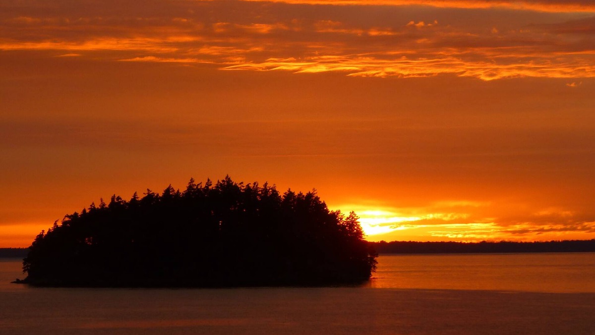 Bellingham Cottage | Waterfront Romantic Chuckanut Bay Cottage with Beach