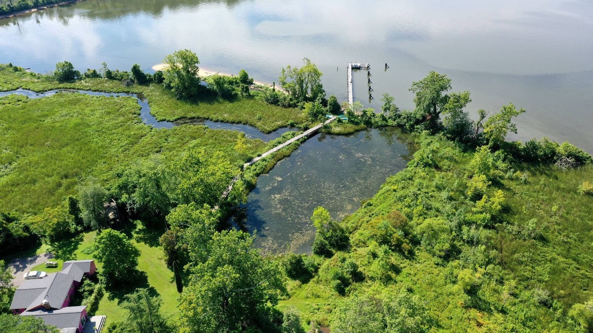 Bryans Road Cottage | Waterfront Sunset Nature Reserve Kayak Eagle Osprey Snakehead Butterflies