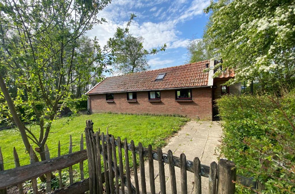 Noordlaren House | Waterjuffer