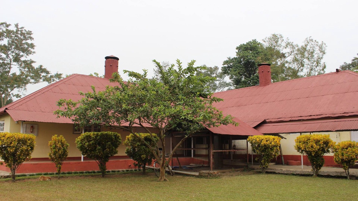 Tinsukia District Villa | Wathai Heritage Bungalow