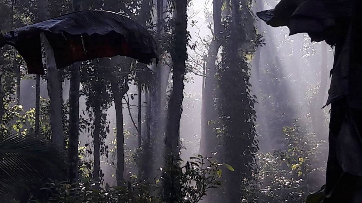Kolagappara Bed & Breakfast | Wayanad Stay the Pepper Suite