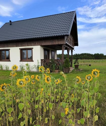 Wdzydze Tucholskiez House | Wdzydzka Chatka