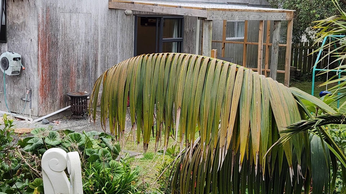 Onerahi Cabin | We are 10 minutes from the CBD. 3 minutes walk from the airport.