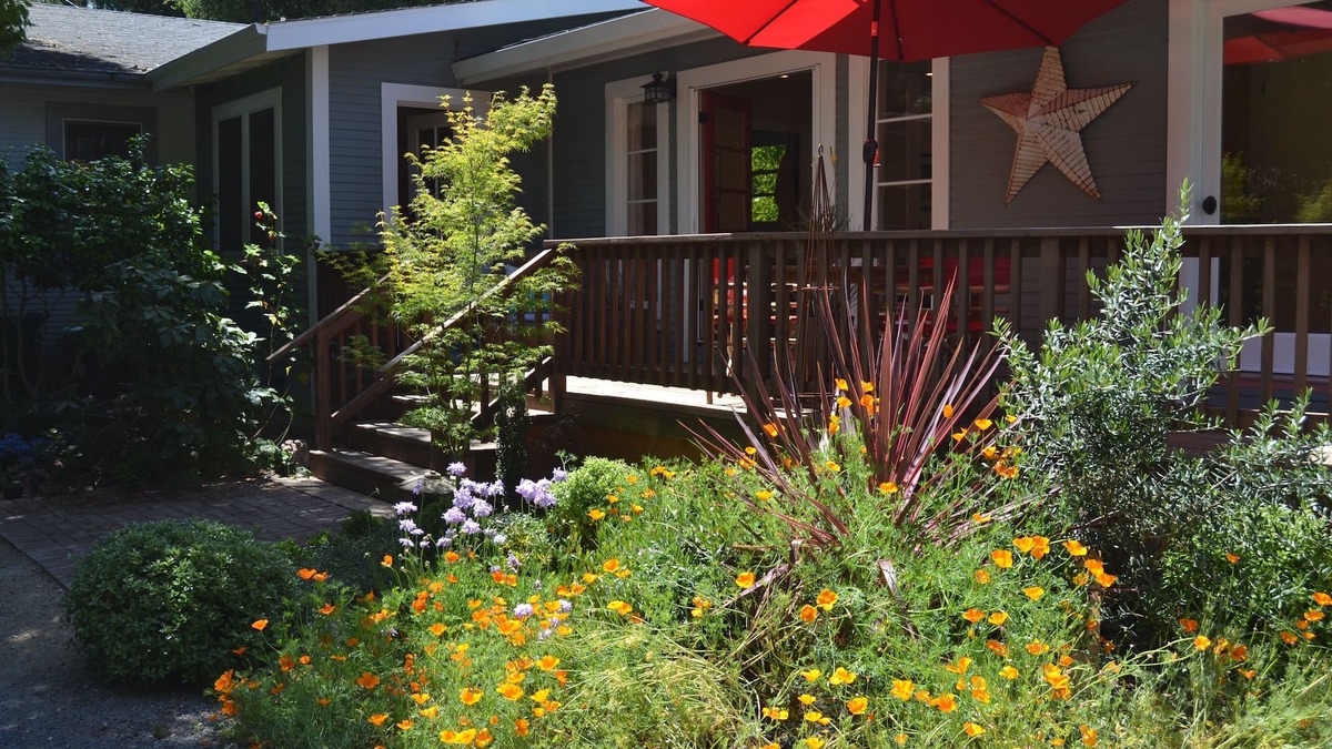 Sebastopol Cottage | Weekly and monthly discountsnnBusiness license 1726