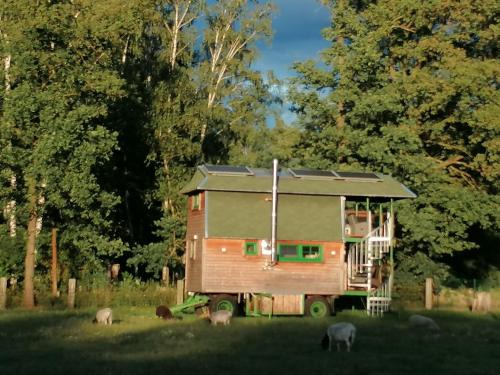 Frauendorf House | Weidmannsruh Natur pur - exklusives Tiny house