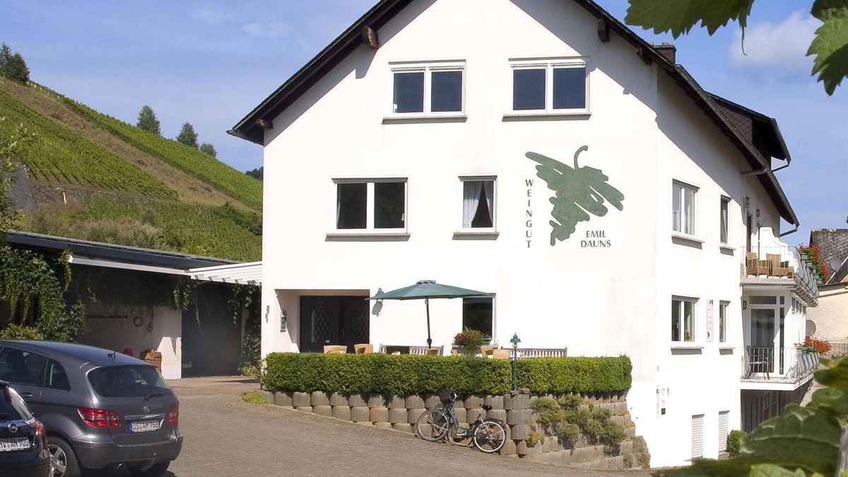 Reil Apartment | Weingut-brennerei-gästehaus Emil Dauns - Doppelzimmer Dusche/wc