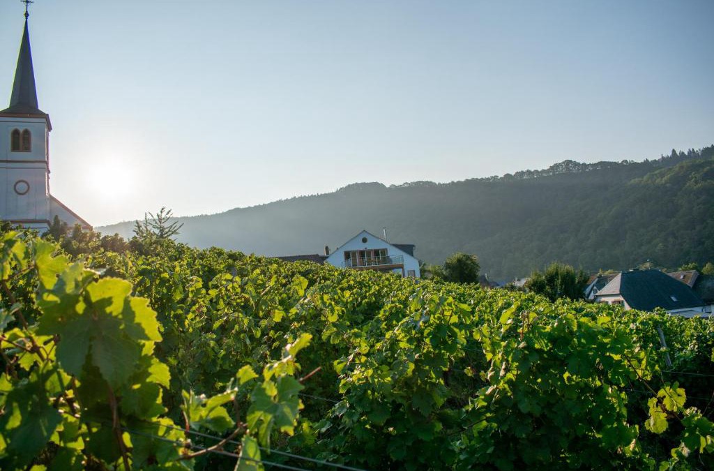 Minheim Apartment | Weingut Johanneshof