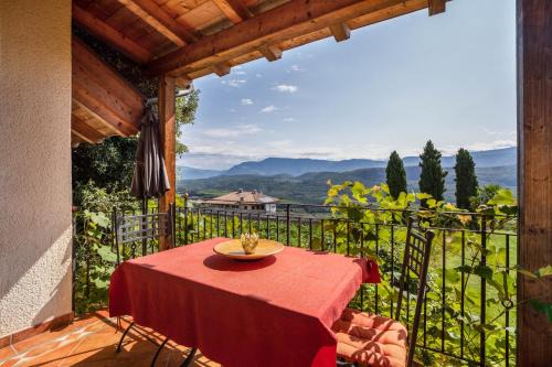 Caldaro Sulla Strada del Vino Apartment | Weingut Lieselehof Apt Rosengarten