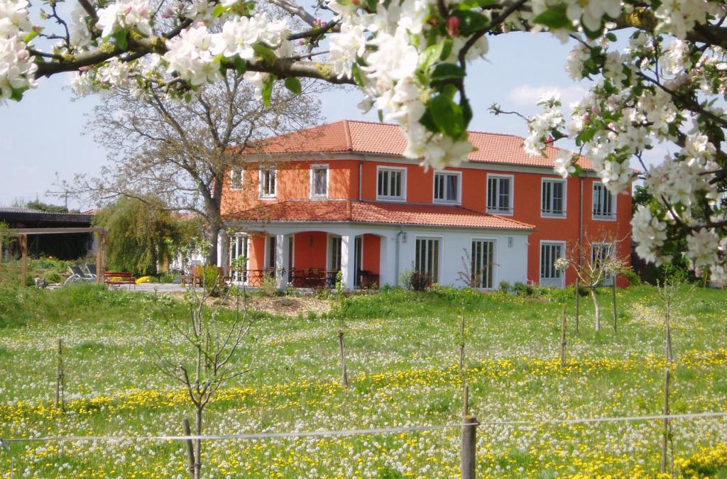Willanzheim House | Weinhof am Nussbaum