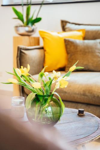 Wehlen Apartment | Weinrebe