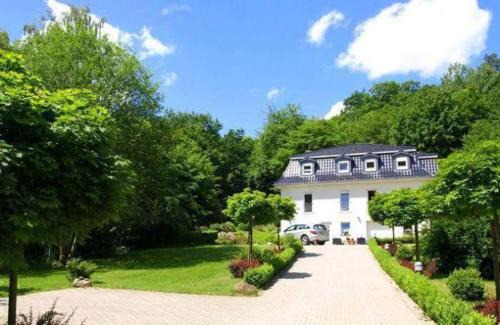 Bad Suderode Apartment | Weisses-Haus-am-Kurpark-Fewo-Waldblick