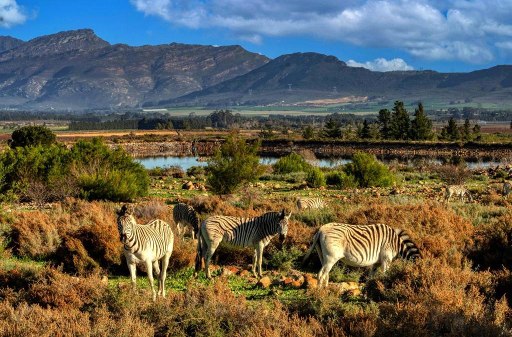 Tulbagh Cabin | Welbedacht Game & Nature Reserve