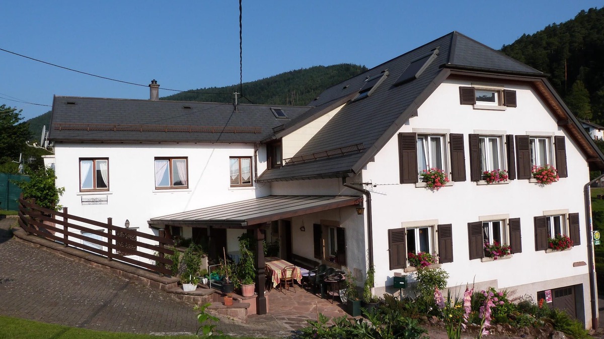 Wangenbourg-Engenthal Apartment | Welcome ChezBrigite - Self-contained flat for 4 people