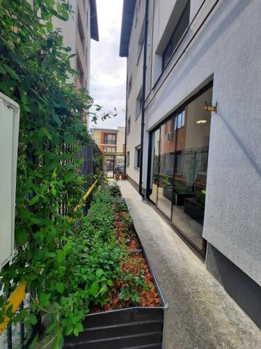 Pitesti Apartment | Welcome!