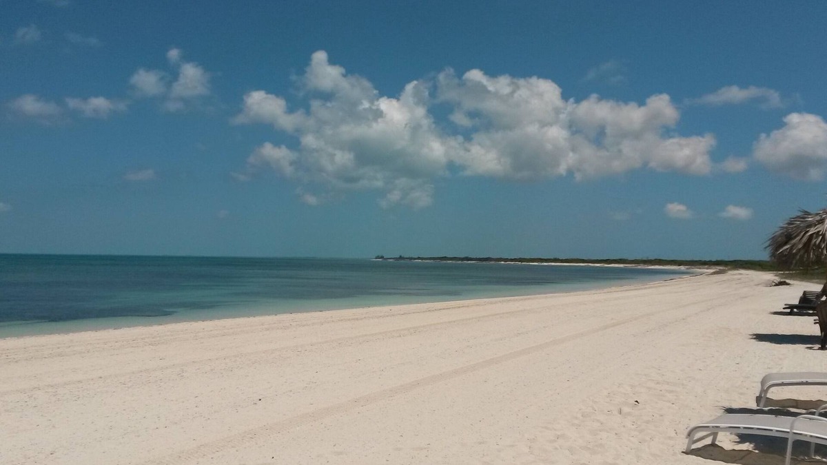 Wheeland Settlement Condo | Welcome To Dolloa! Your Turks & Caicos Spacious & Breezy 2,200 Sq Ft Oasis!