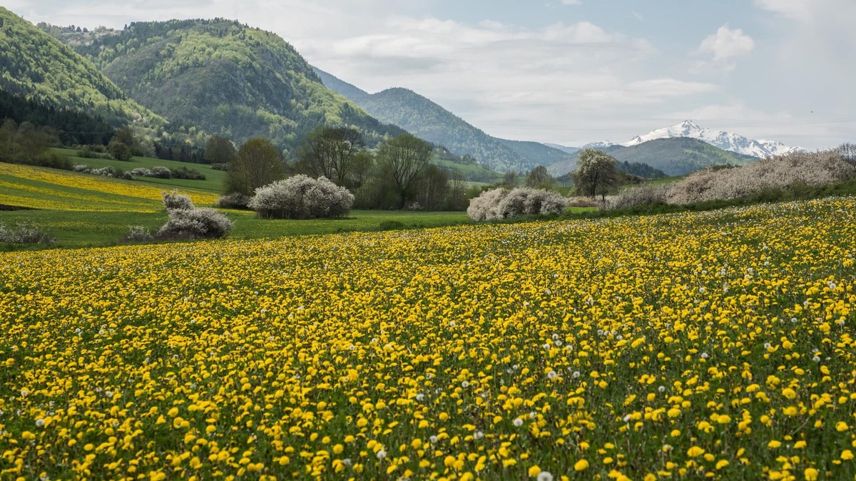 Roquefeuil Cottage | Welcome to Léontine 5 minutes from Lake Belcaire with its many activities