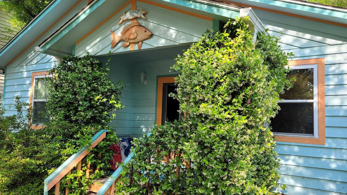 Long Beach Cottage | Welcome to Snapper Cottage! Pet friendly, shaded fenced yard, 2 bath, sleeps 7