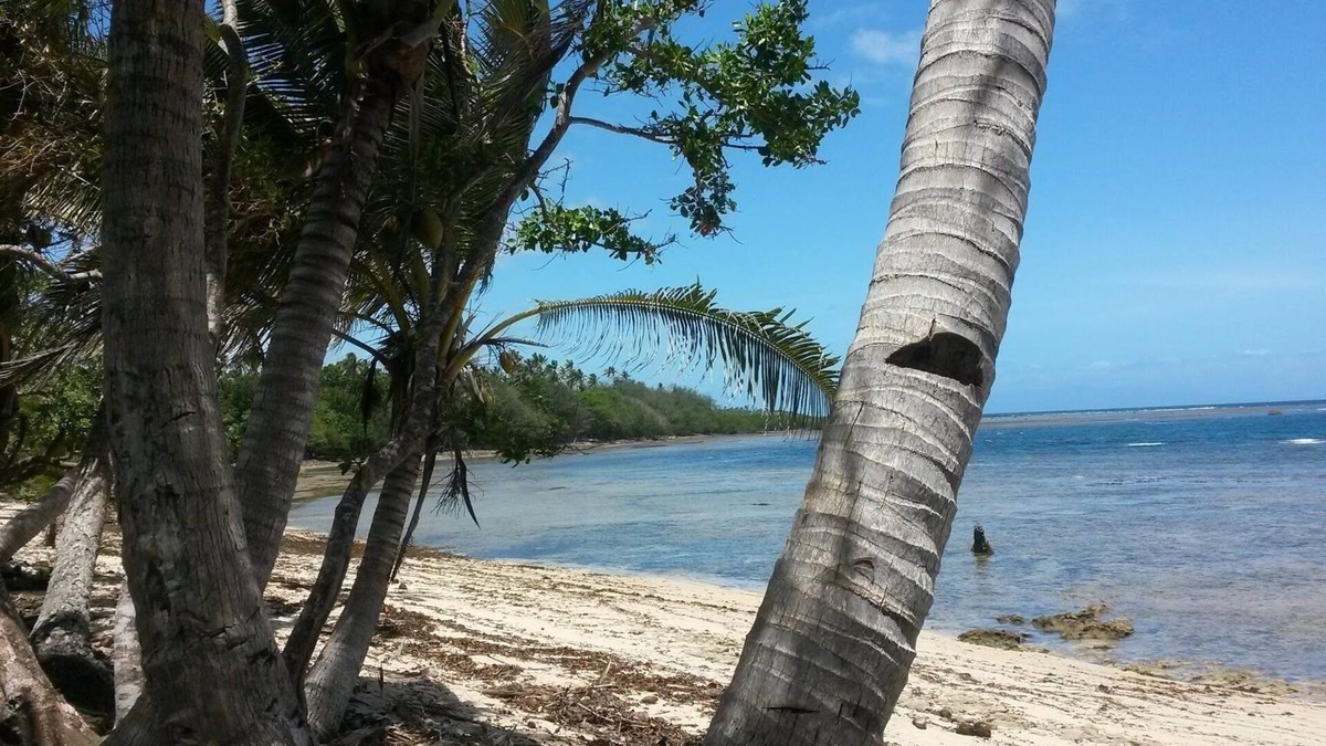 Savusavu House | Welcome to the Breakers at Maravu lagoon.