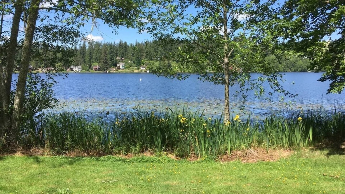 Eatonville House | Welcome to the Lakefront Bungalow~35 miles from Mt
