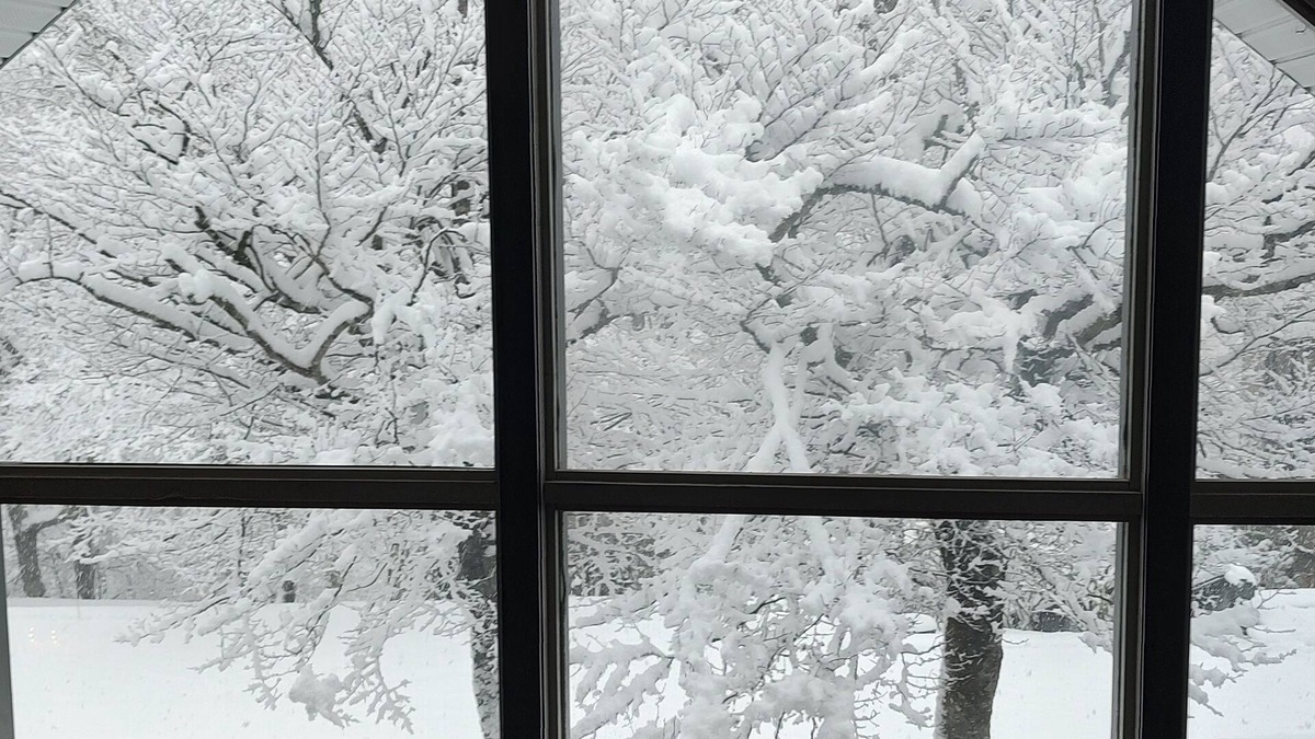 Beech Mountain House | Welcome to the stunning Bergbewohner ski chalet!
