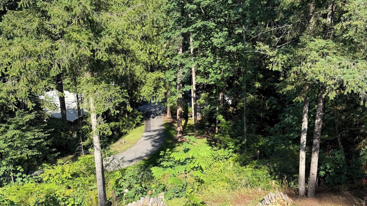 Cultus Lake Cottage | Welcome to “The Willows” at The Cedars