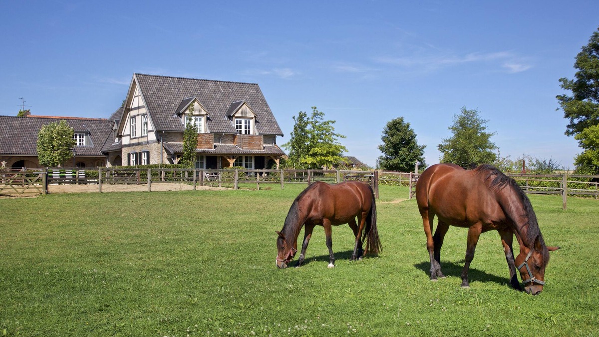 Margraten Apartment | Weledel country estate