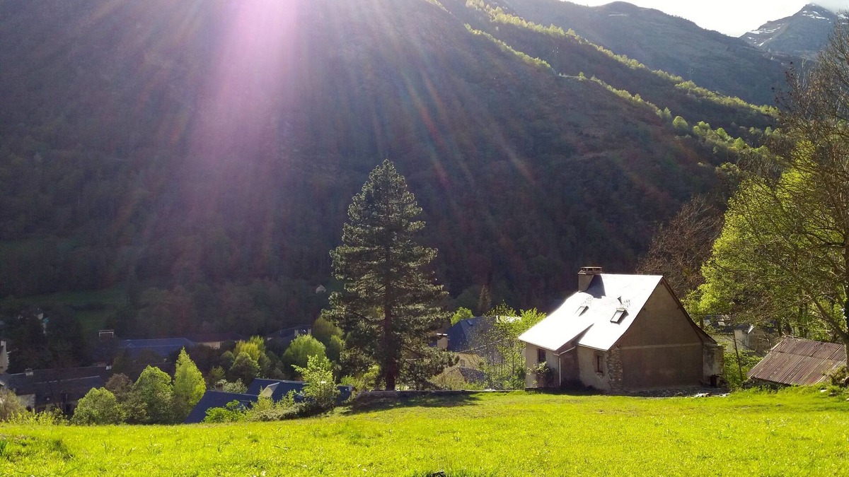 Gedre House | Well located spacious home.
