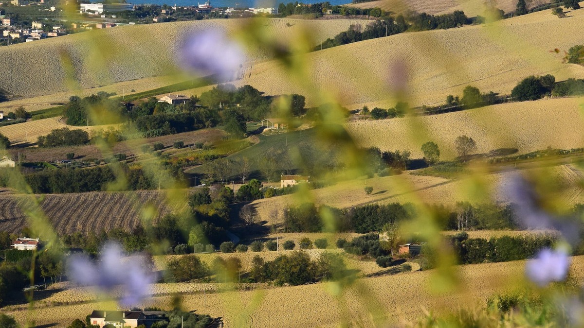 Lapedona House | Wellness and relaxation in the Marche region at Tenuta Coste da Sole