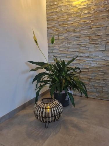 Mechernich House | Wellness Ferienhaus