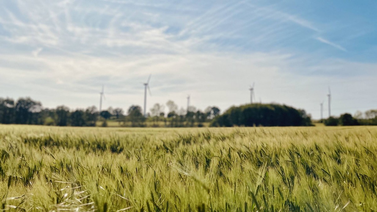 Ovendorf House | Wellness Oasis with Whirlpool in a Dreamlike Area!