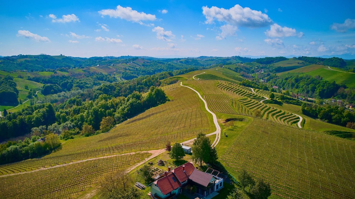 Ljutomer House | Wellness Vineyard Cottage Marjan, Ljutomer, Slovenia