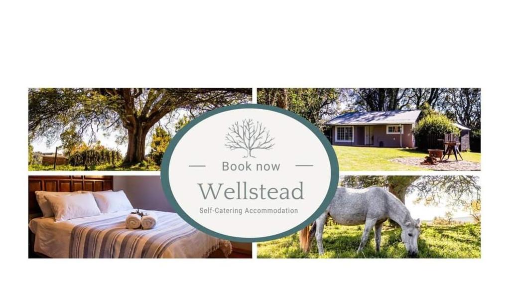 Haenertsburg Ski Chalet | Wellstead Country Manor