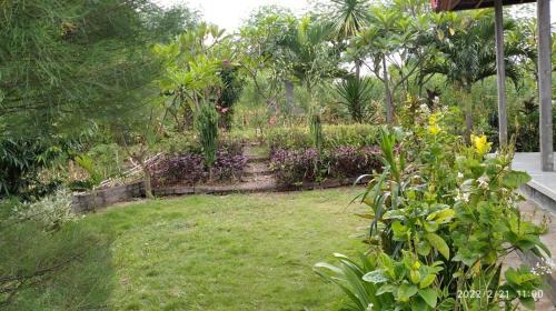 Pemuteran Boat Rental | West Bali Menjangan Tour