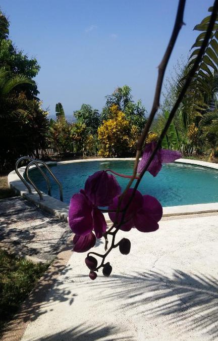 Negara House | West Bali Villas-Umasari Resort