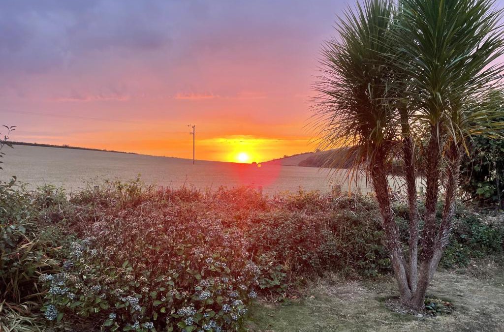 Buckfastleigh Bed & Breakfast | Westerley Country B & B with exclusive Guest lounge