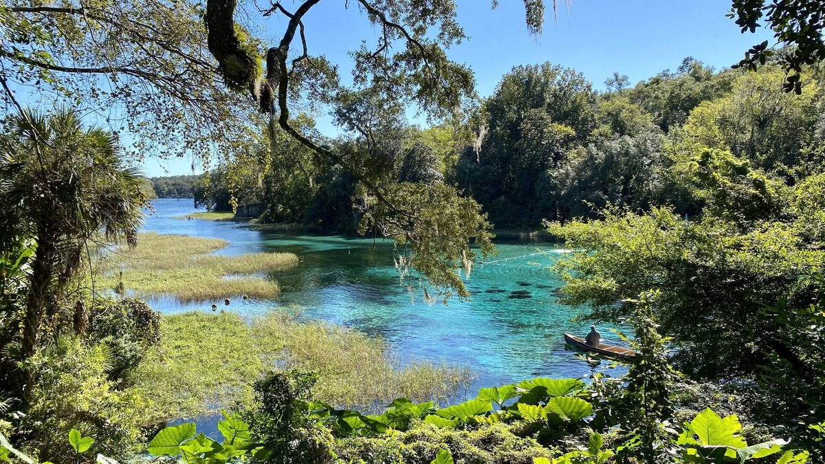 Dunnellon House | Westy's Boho Bungalow @ Rainbow River. Tranquil River Getaway!