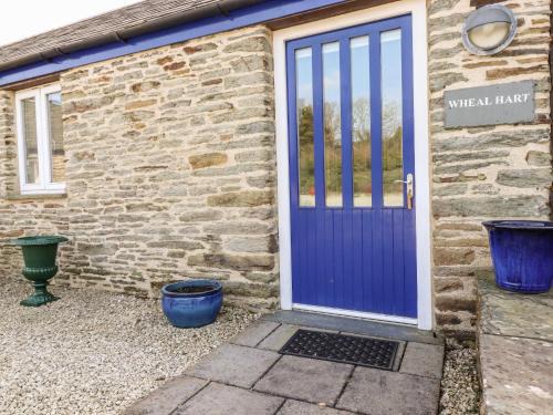 Newquay House | Wheal Hart