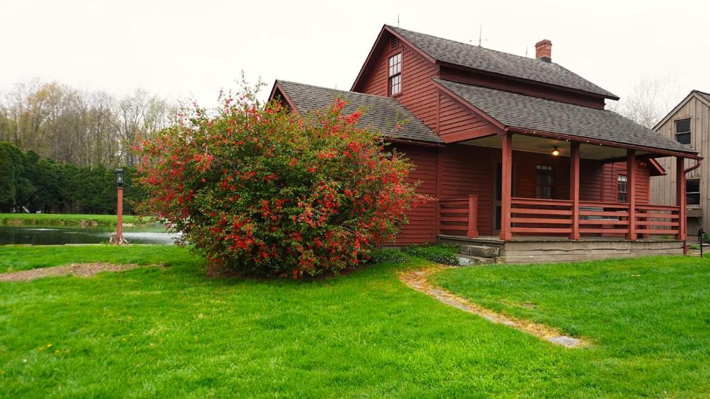 Dundee House | Whimsical Cottage w/Pond View