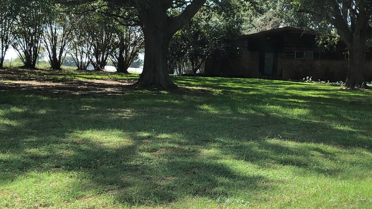Woden House | Whisper Oaks 15 miles to SFA coliseum. Quiet and nestled in the country!
