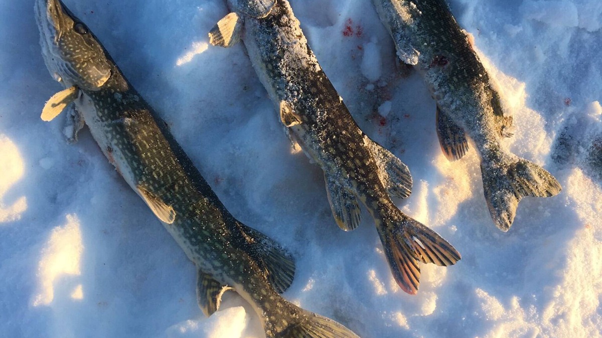 Crosby House | Whispering Pines Cottage - Crosby, MN