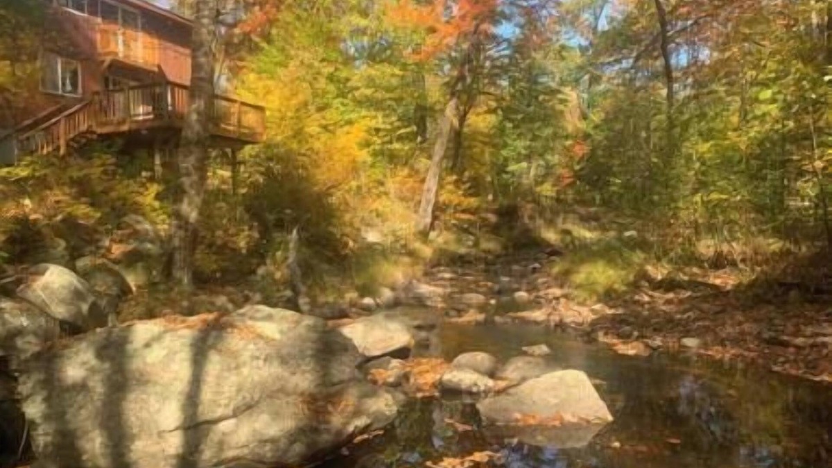 Grafton Cabin | Whispering Woods Cabin - Creekside & Pet Friendly