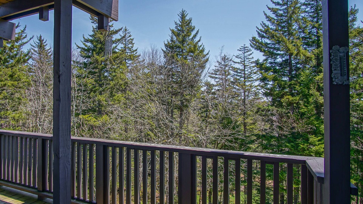 Snowshoe Condo | Whistlepunk #11: 2 Bedroom, 2 Bath: Wood fireplace.Central Location.