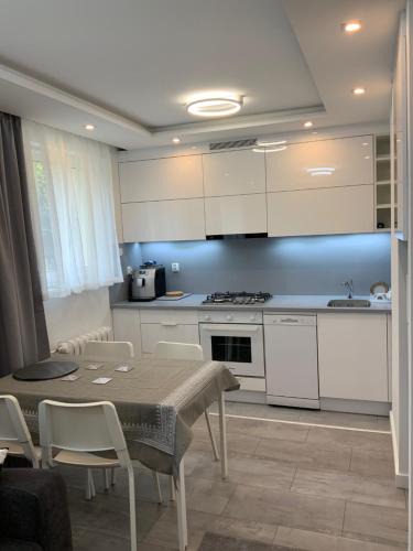 Iwonicz-Zdroj Apartment | White Apartment