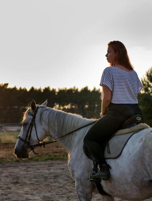 Scinawa House | White Pony agroturystyka i stajnia