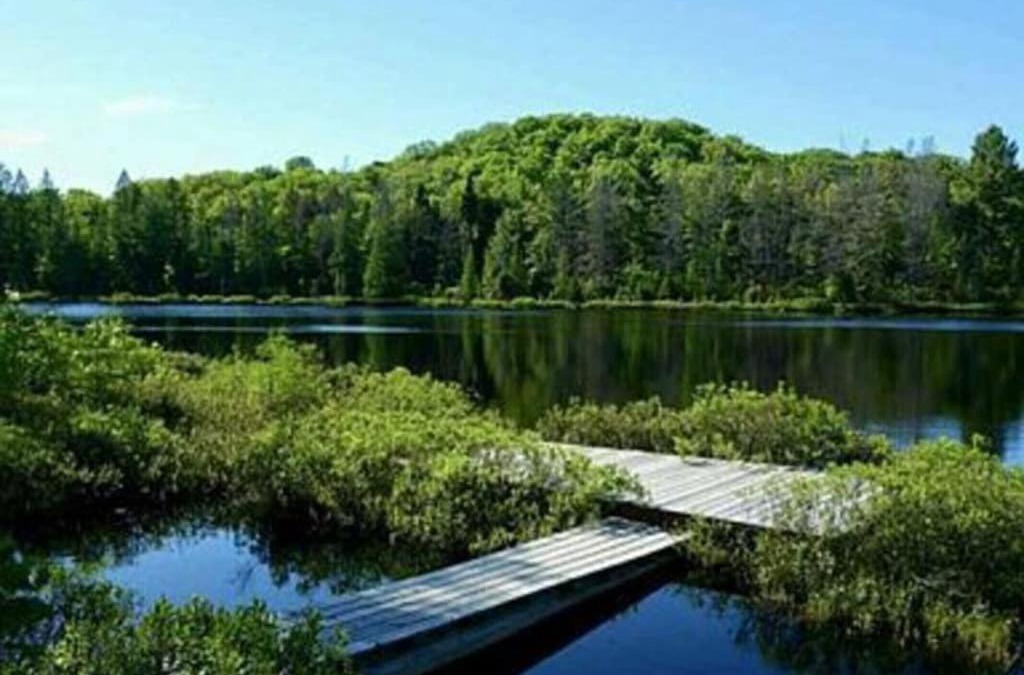 Michigamme House | Whole home, private lake, sauna, WFH office