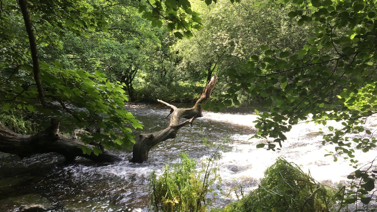 Dartington House | Whole House near Staverton Bridge on the River Dart & Dartington Estate & Totnes