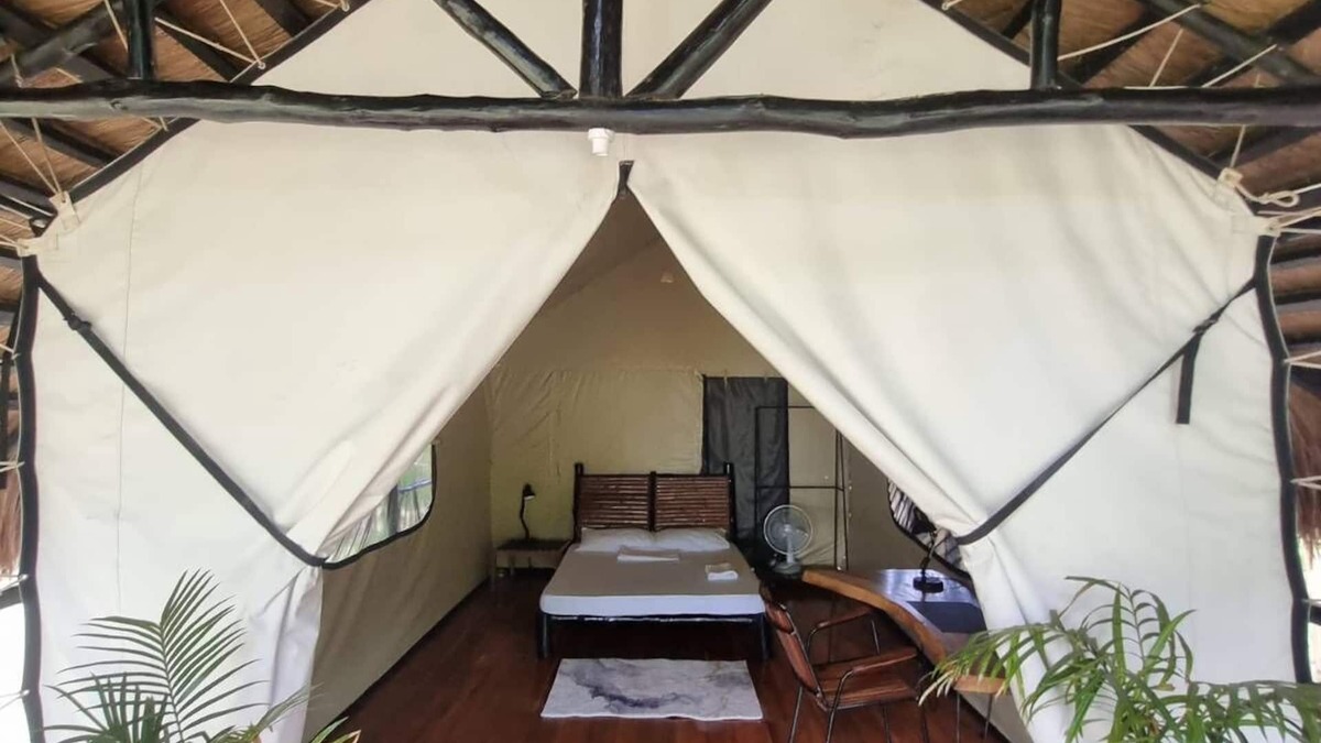 San Vicente Cabin | Whole Resort